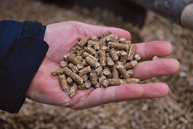 wood pellets